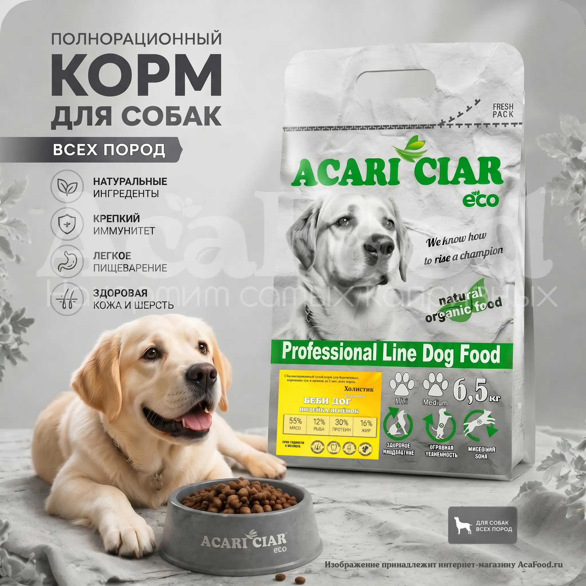 Acari Ciar Baby Dog Starter