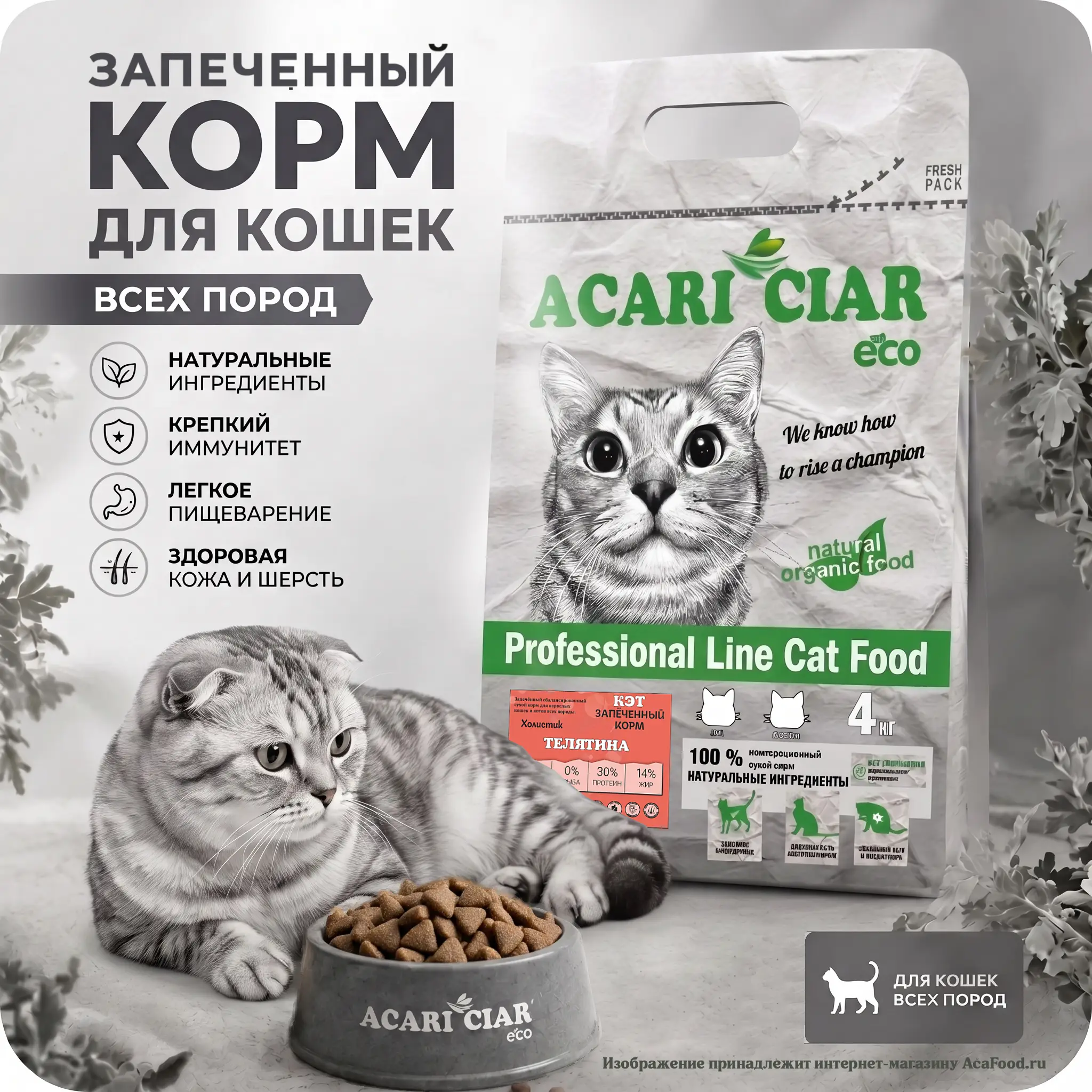 Acari Ciar Кэт Запеченный Телятина
