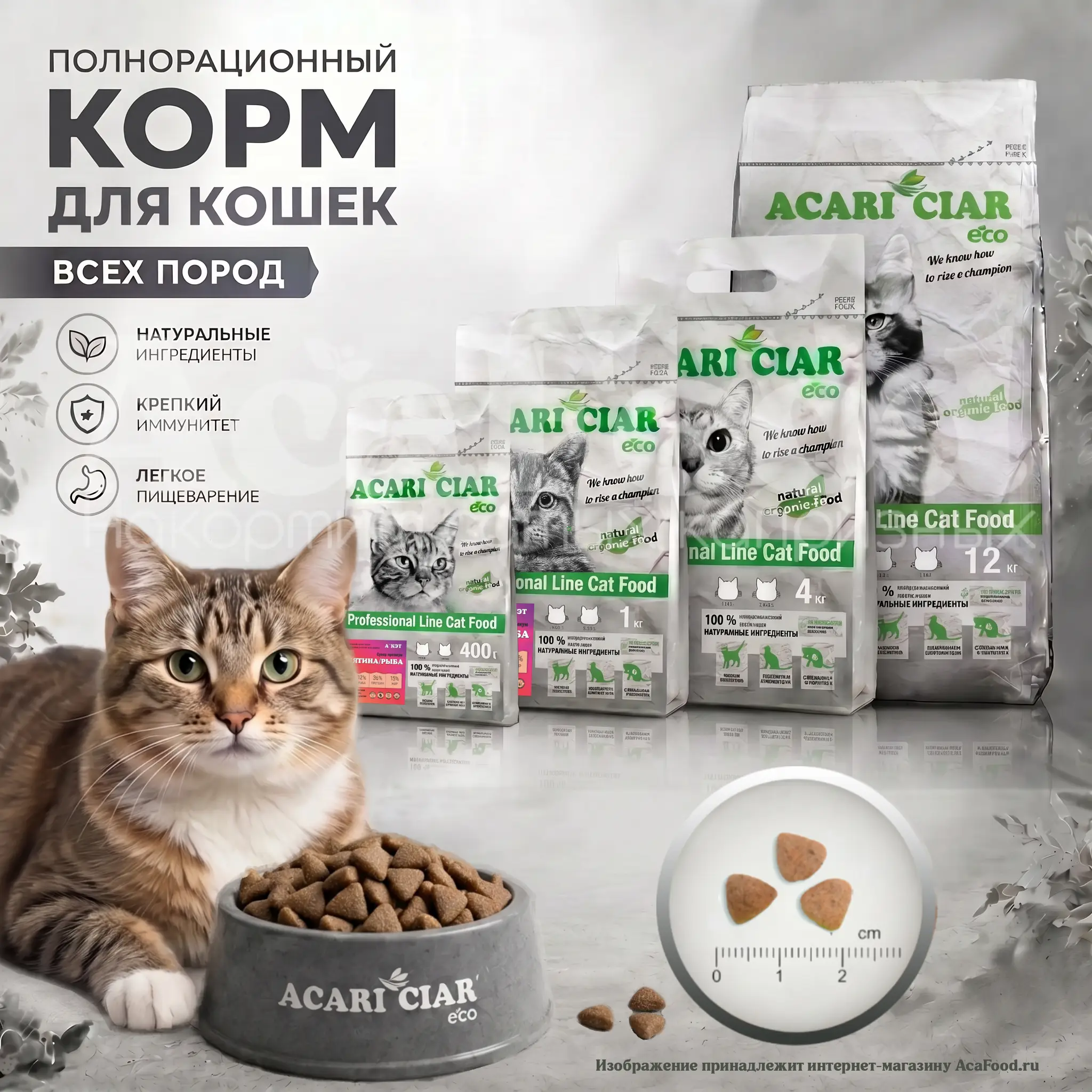 Acari Ciar A Cat Beef