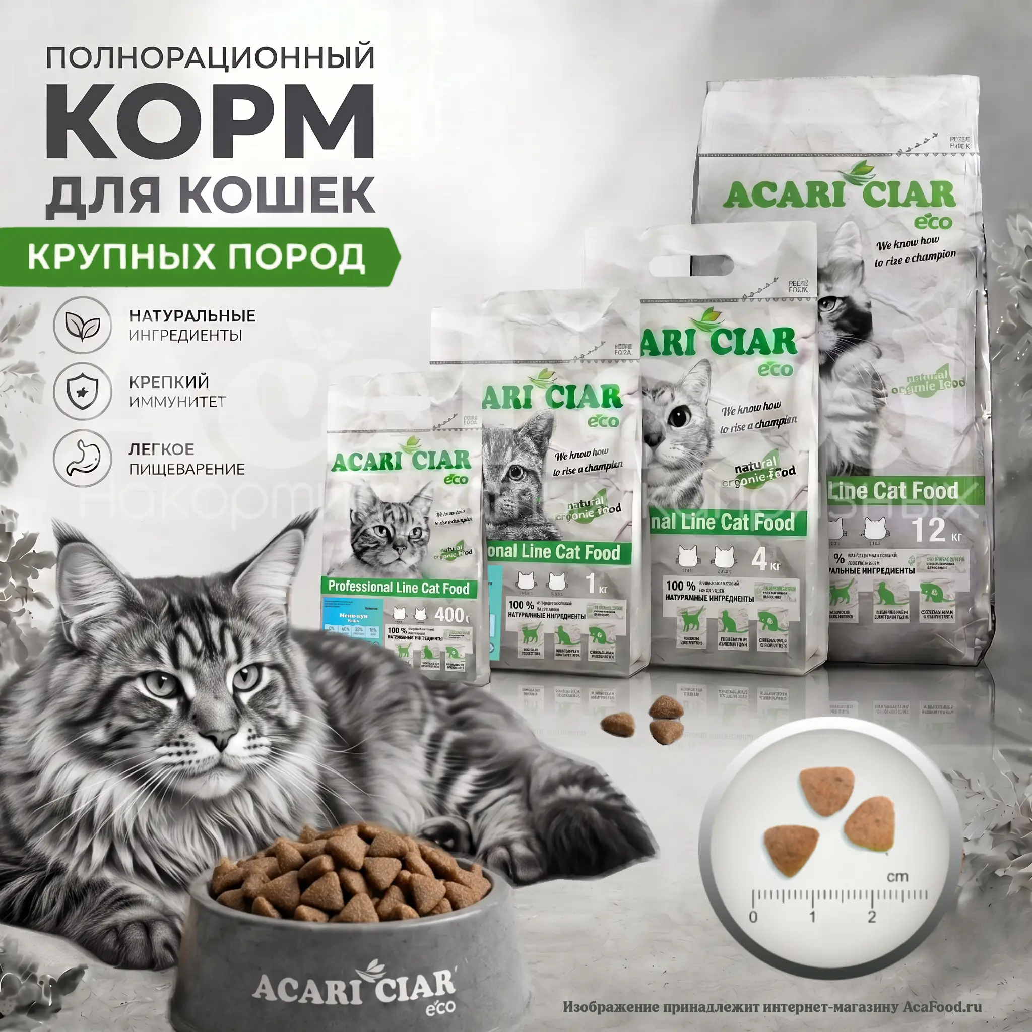 Acari Ciar A Cat Fish Maine Coon