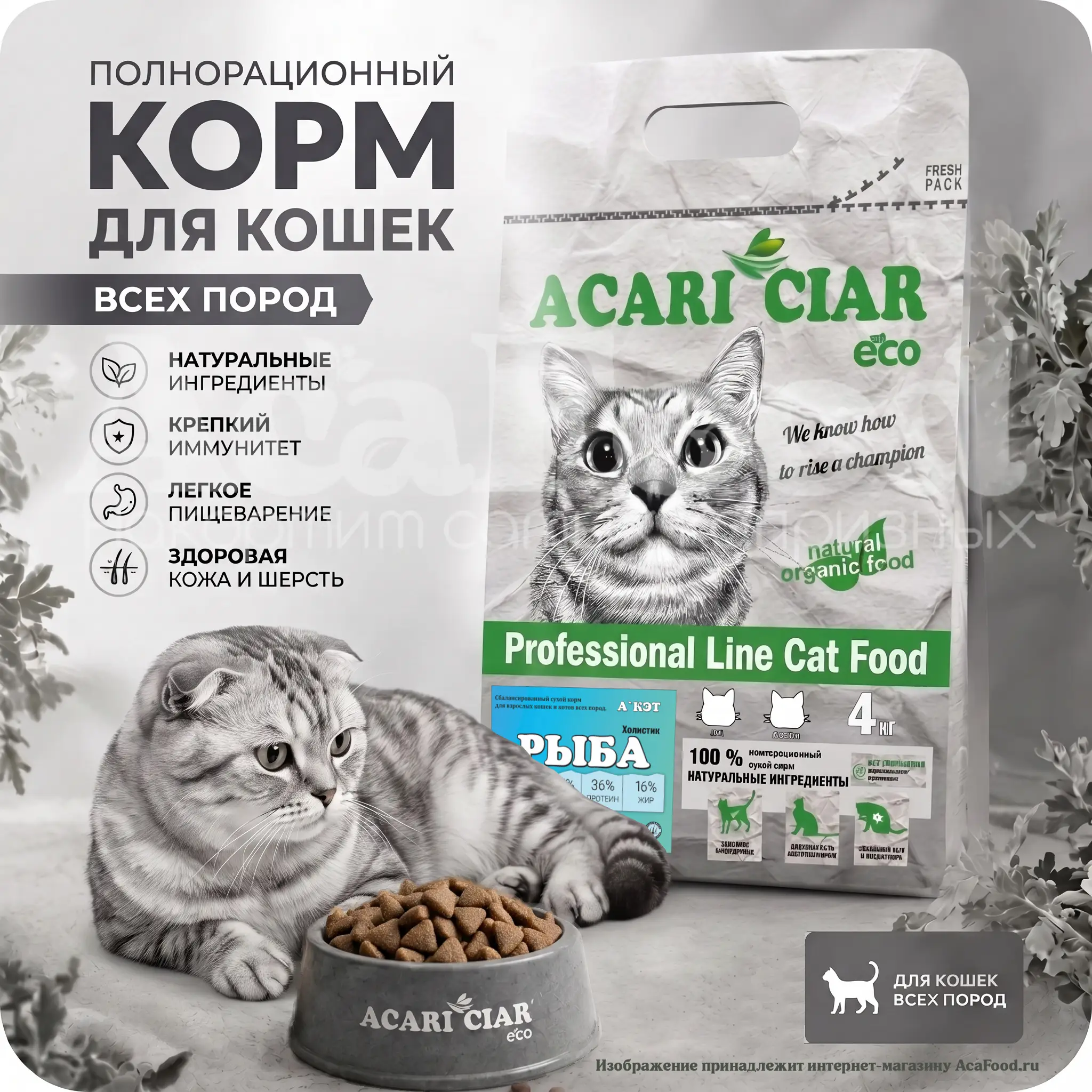 Acari Ciar A Cat Fish