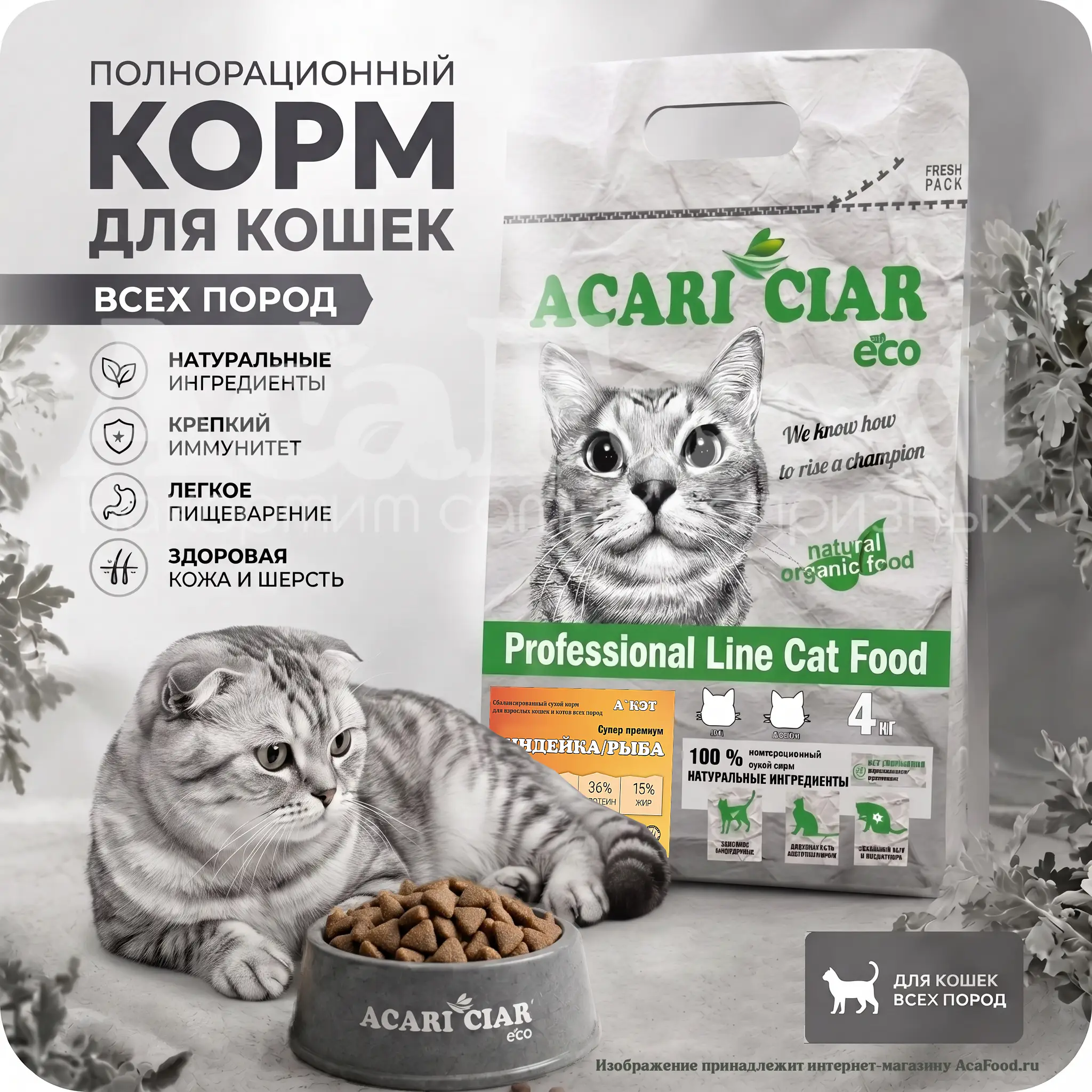Acari Ciar A Cat Turkey