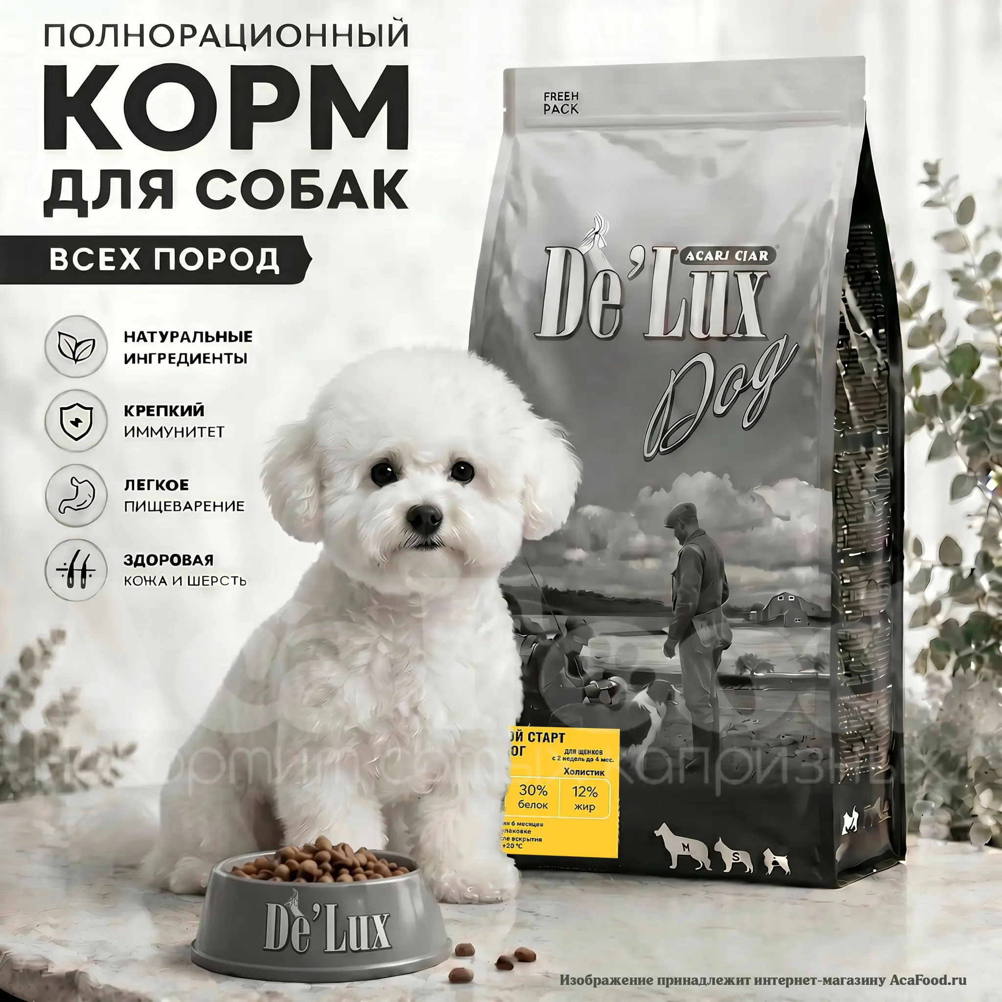 Акари Киар Junior