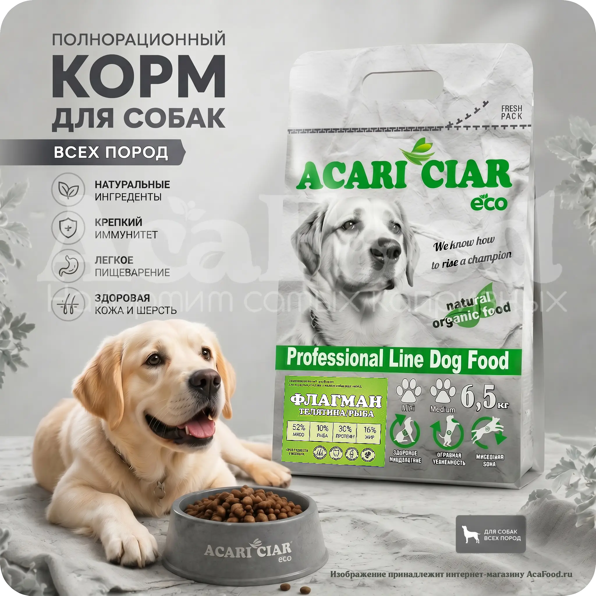 Acari Ciar Flagman