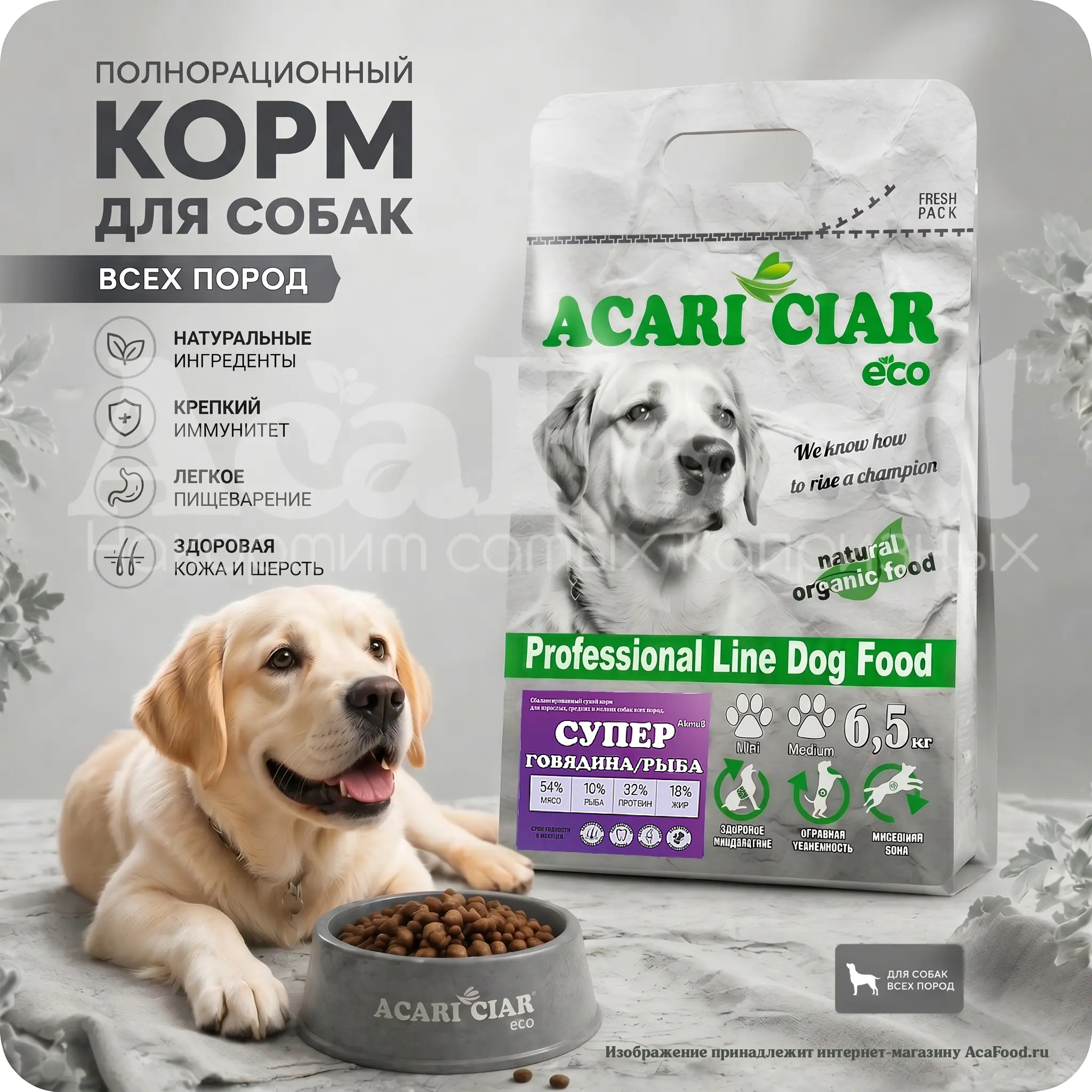 Acari Ciar Superba