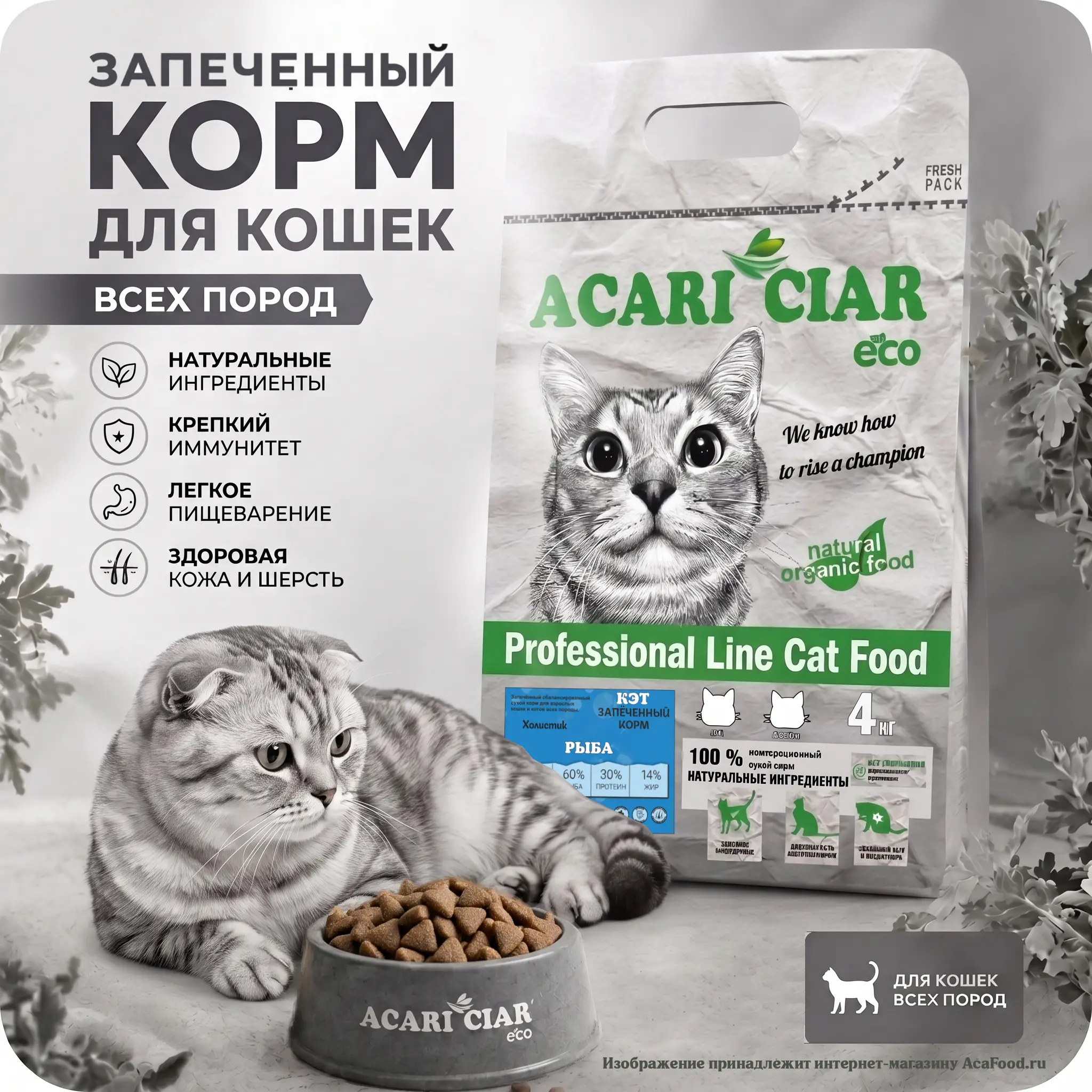 Acari Ciar A Cat Baked Fish