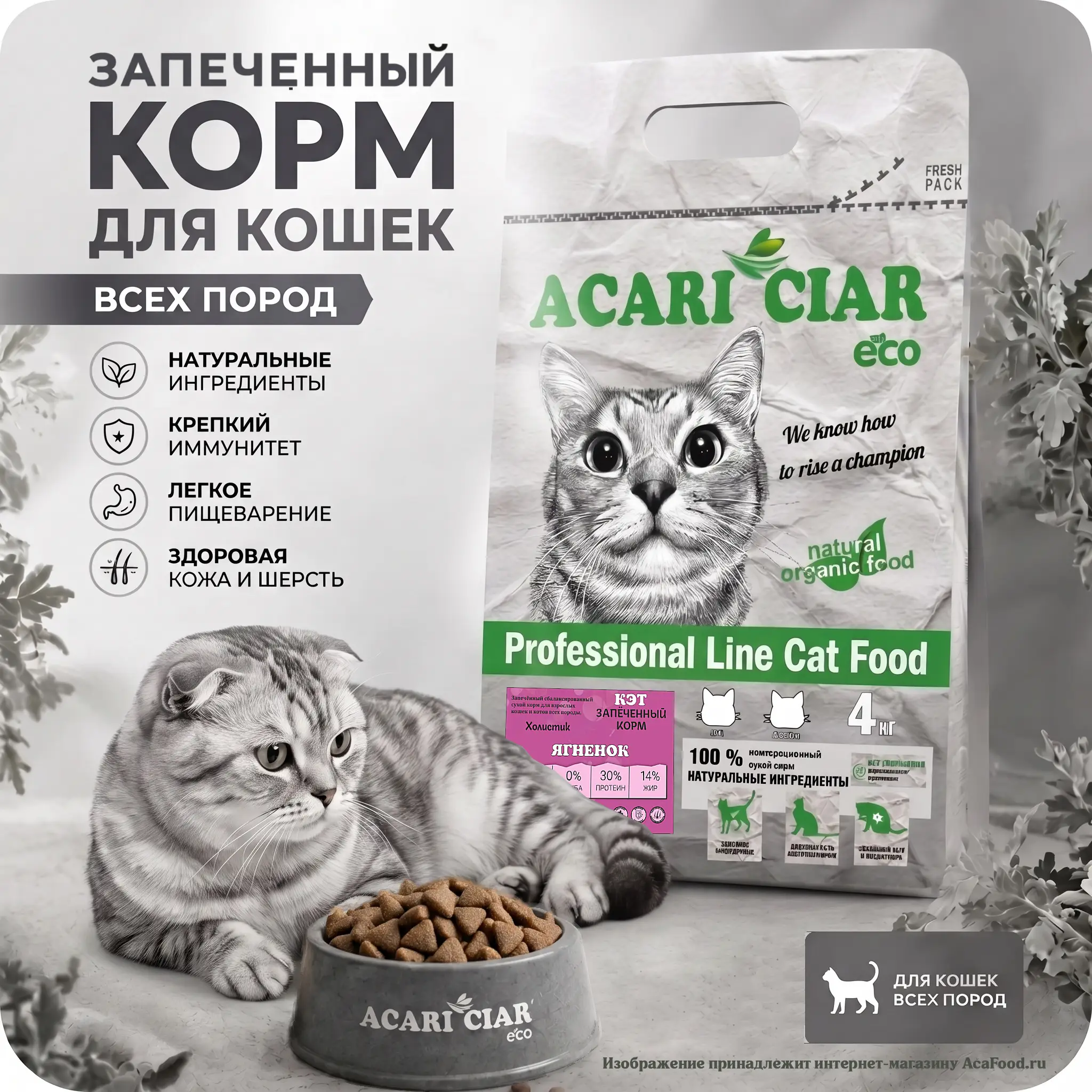 Acari Ciar A Cat Baked Lamb