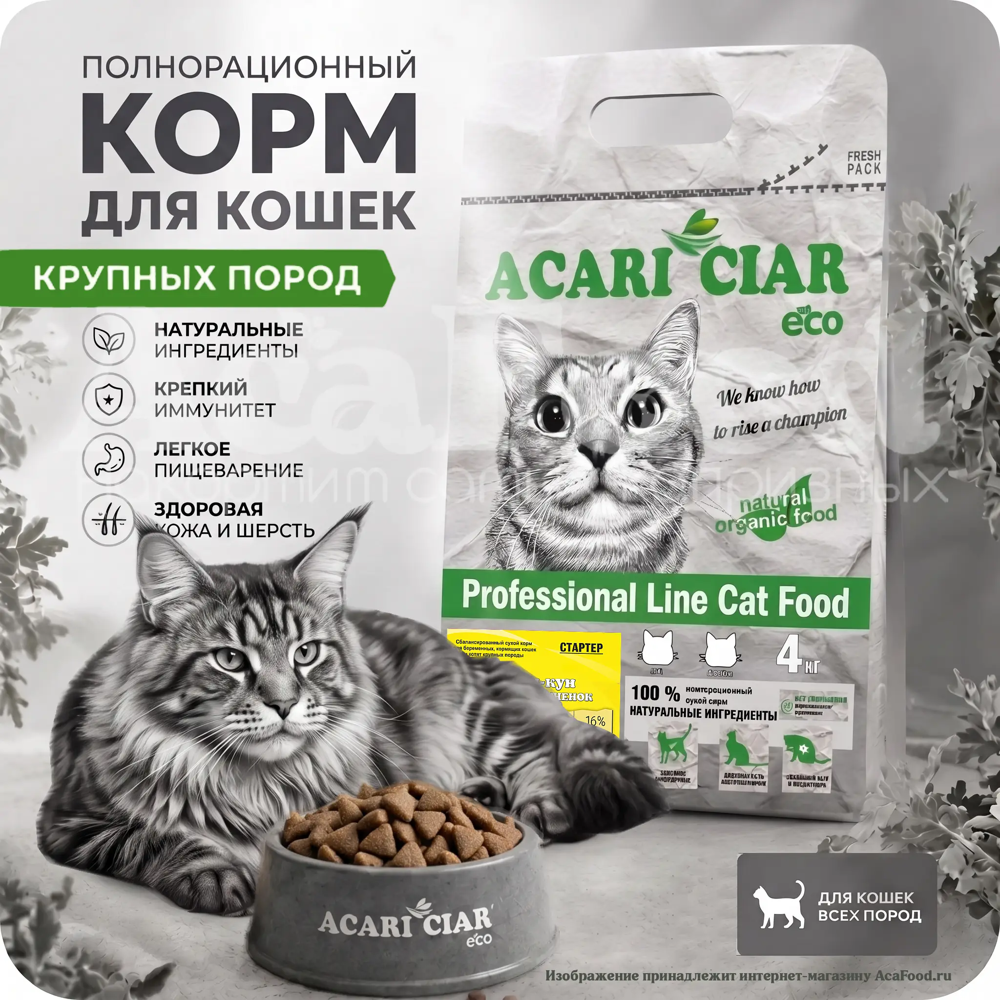 Acari Ciar A Cat Starter Maine Coon - 4 кг