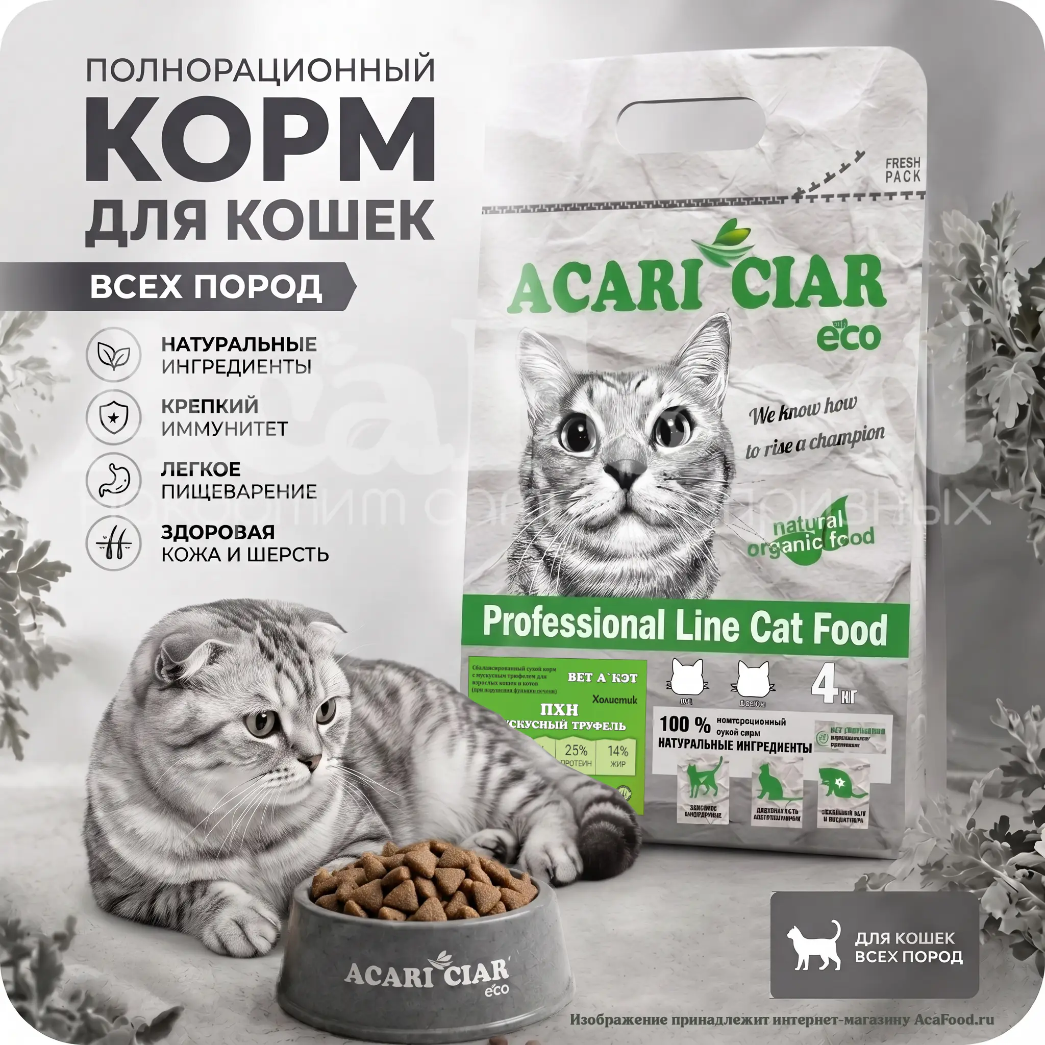 Acari Ciar Vet A Cat Hepatic