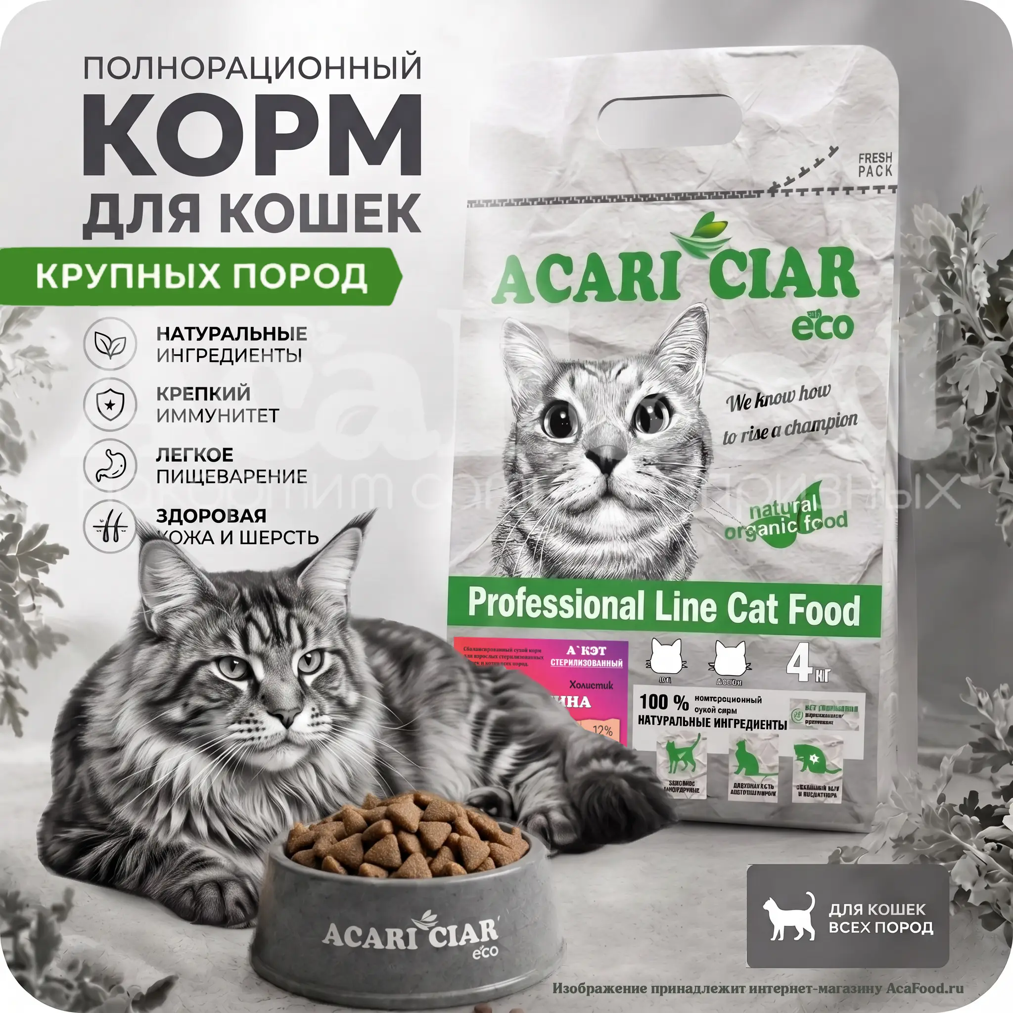 Acari Ciar Beef Maine Coon Sterilized