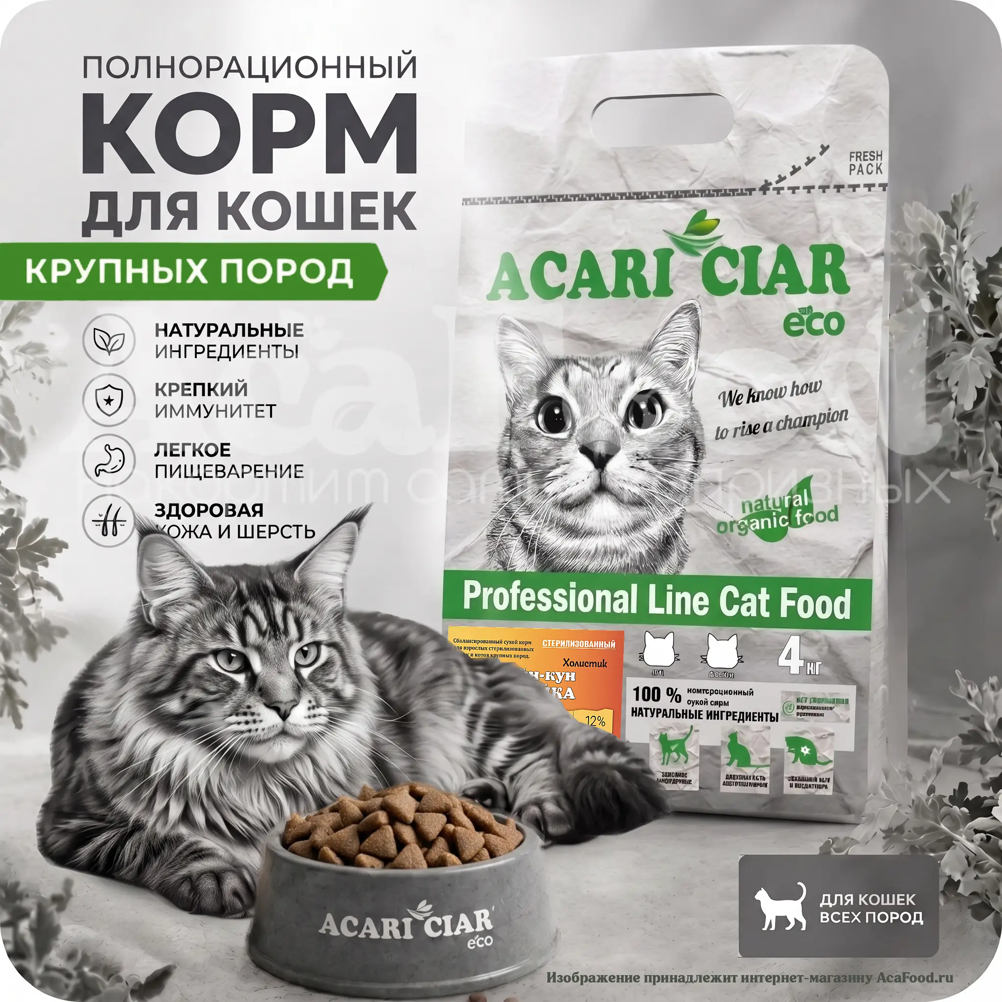 Acari Ciar Turkey Maine Coon Sterilized