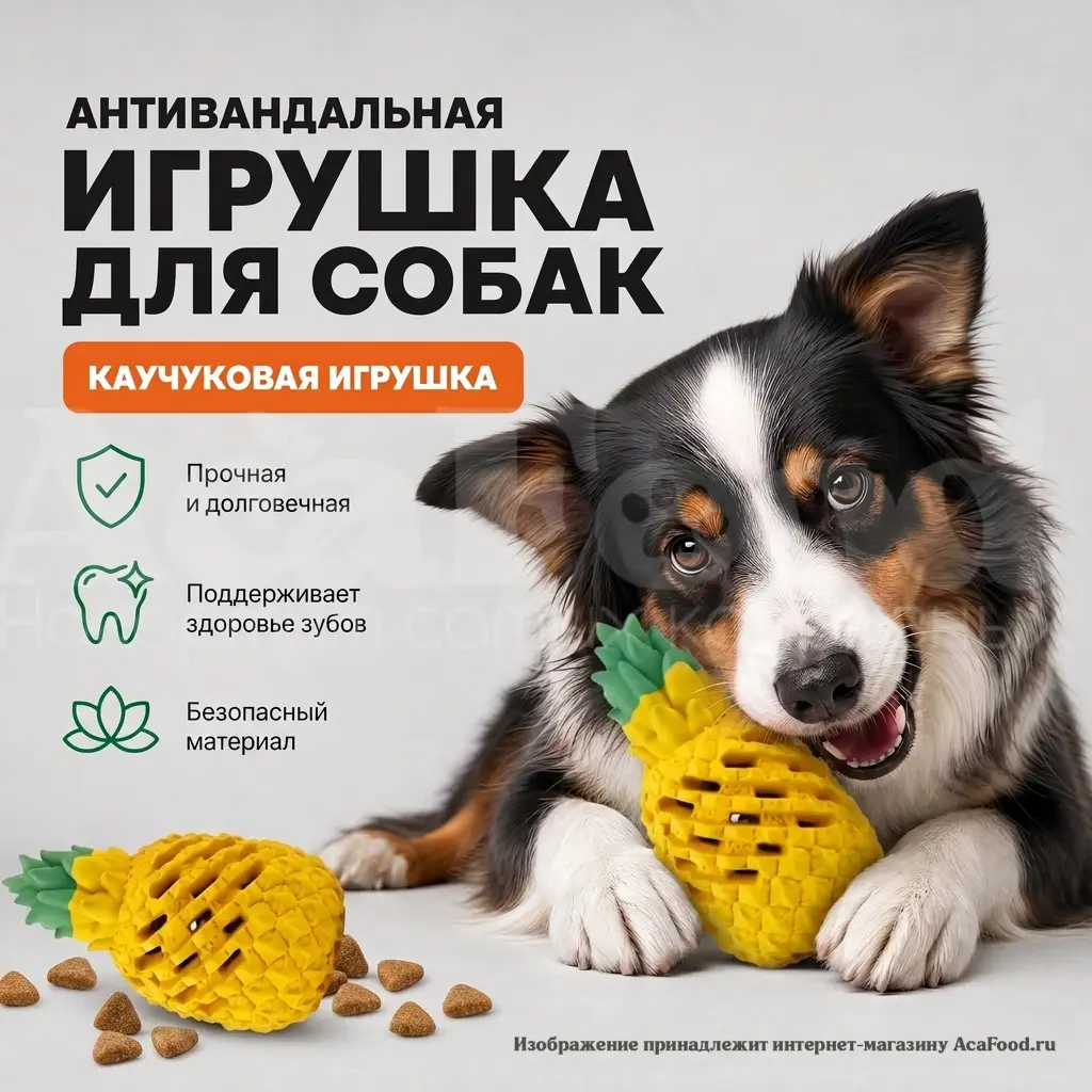 Ананас грызак