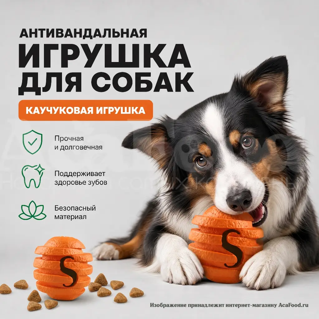 Апельсин грызак