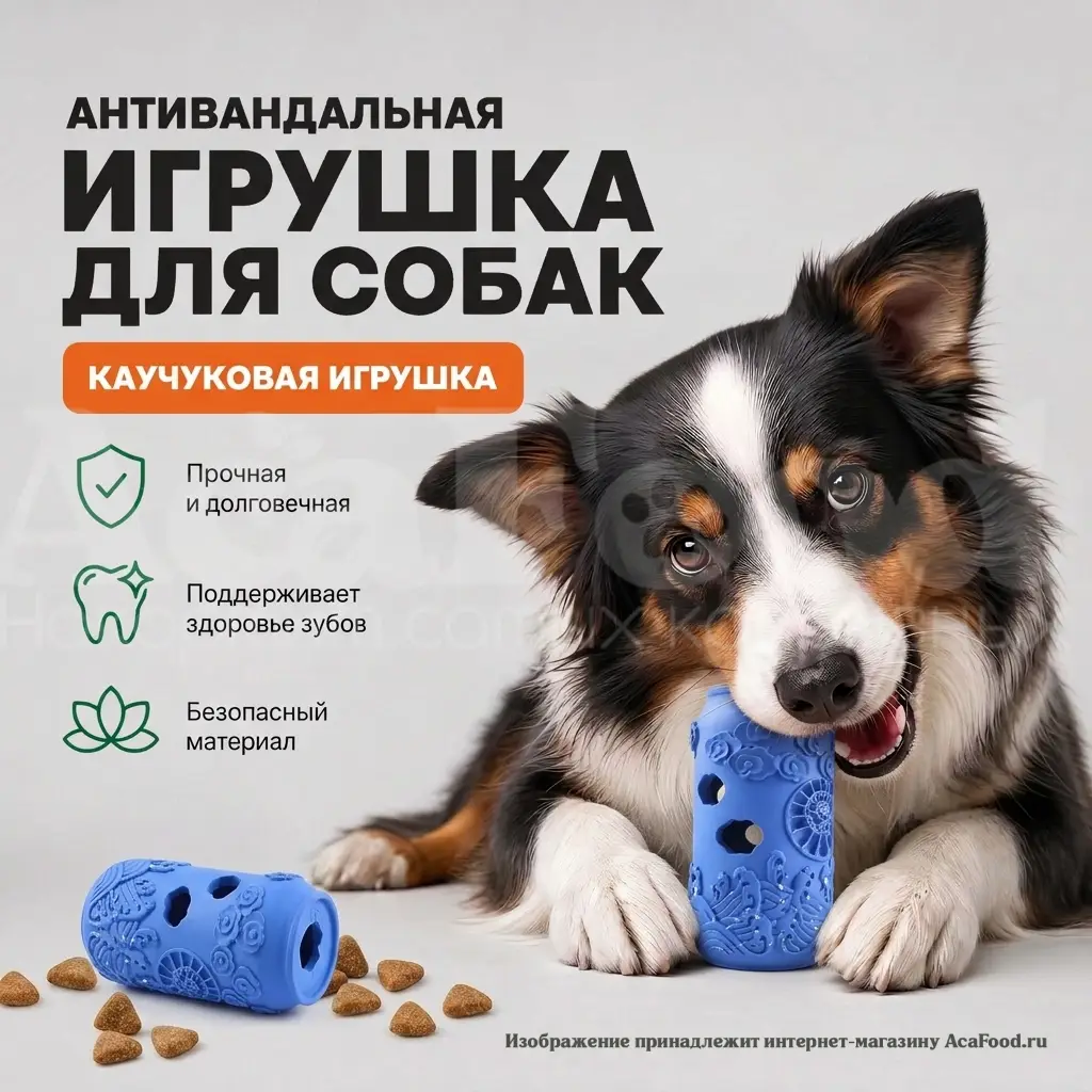 Банка грызак