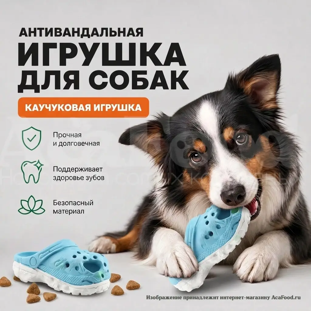 Крокс грызак