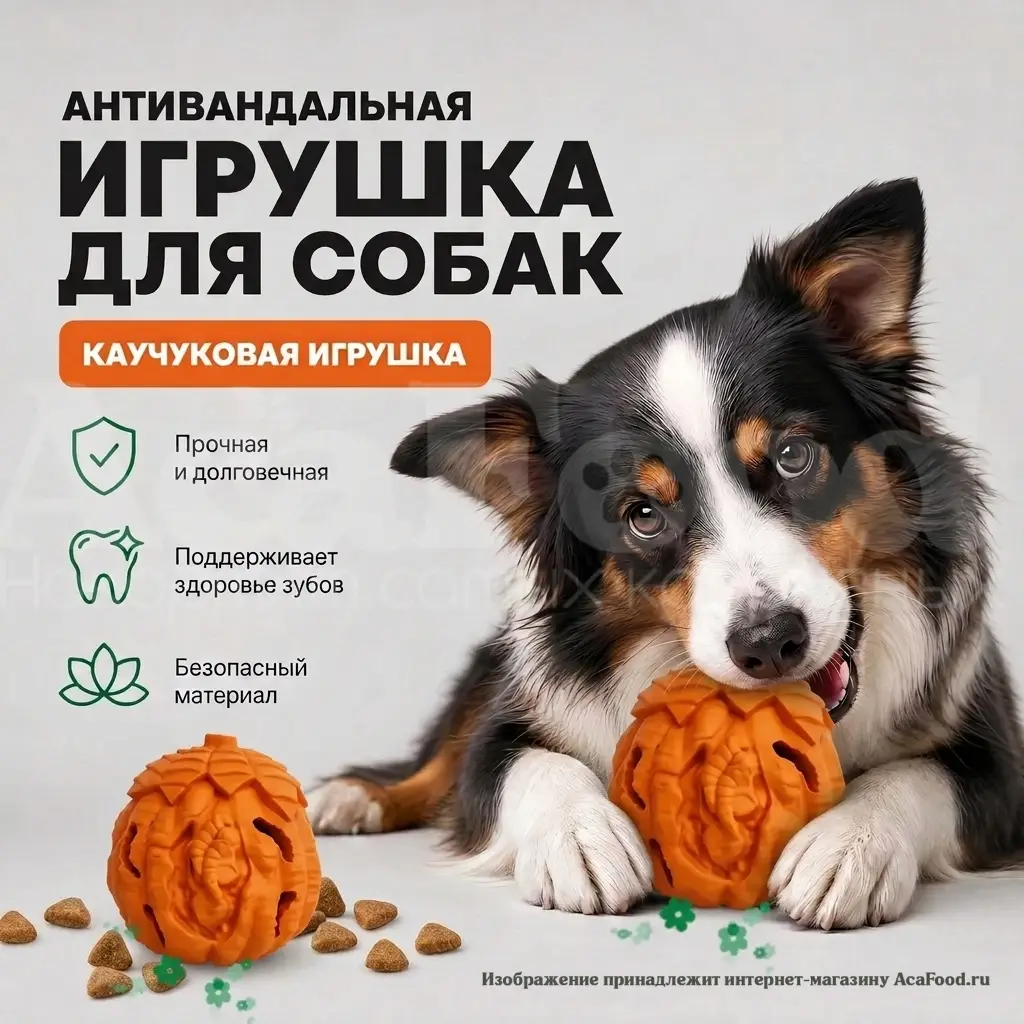 Грейпфрут грызак