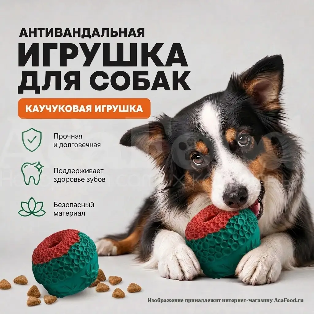Лето грызак