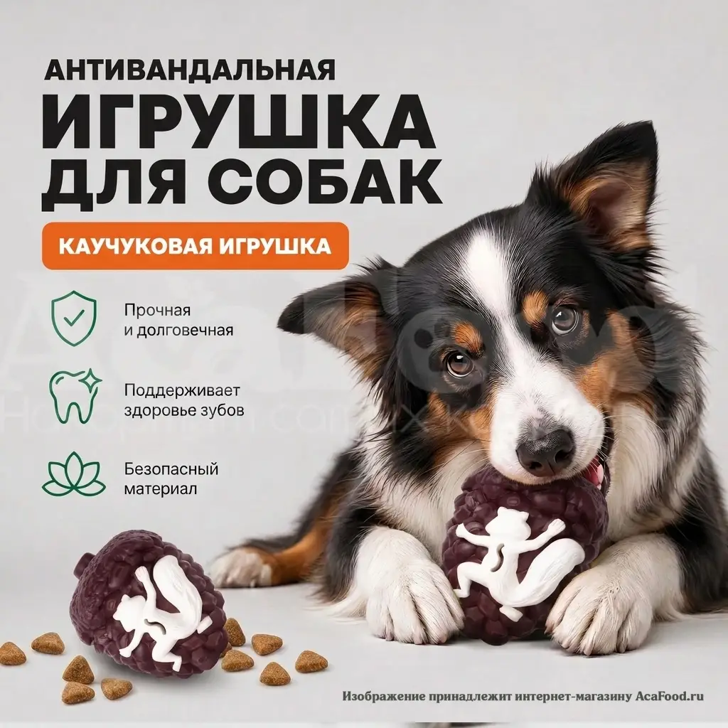 Шишка грызак