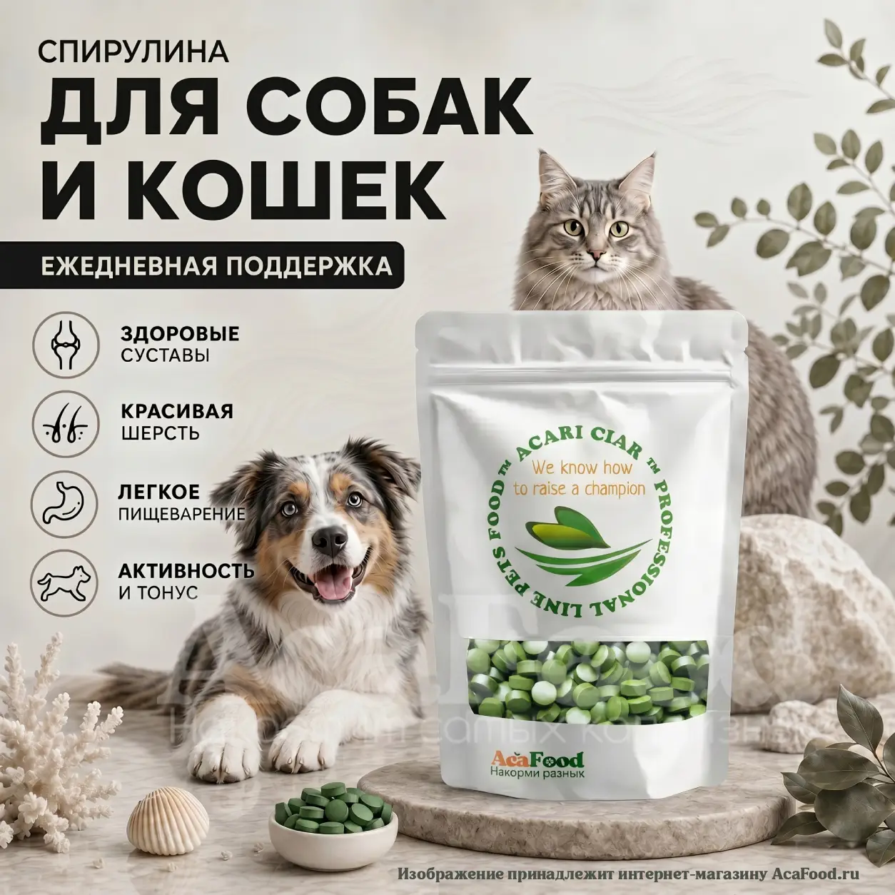 Спирулина витамины (50 гр)